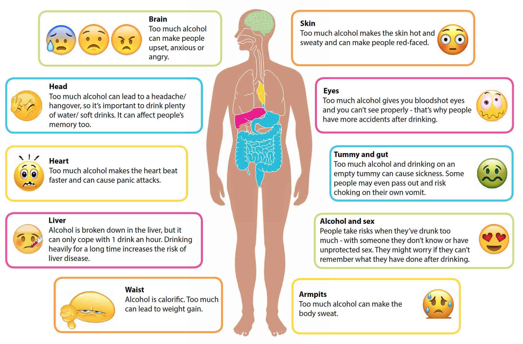 How too much alcohol affects the body