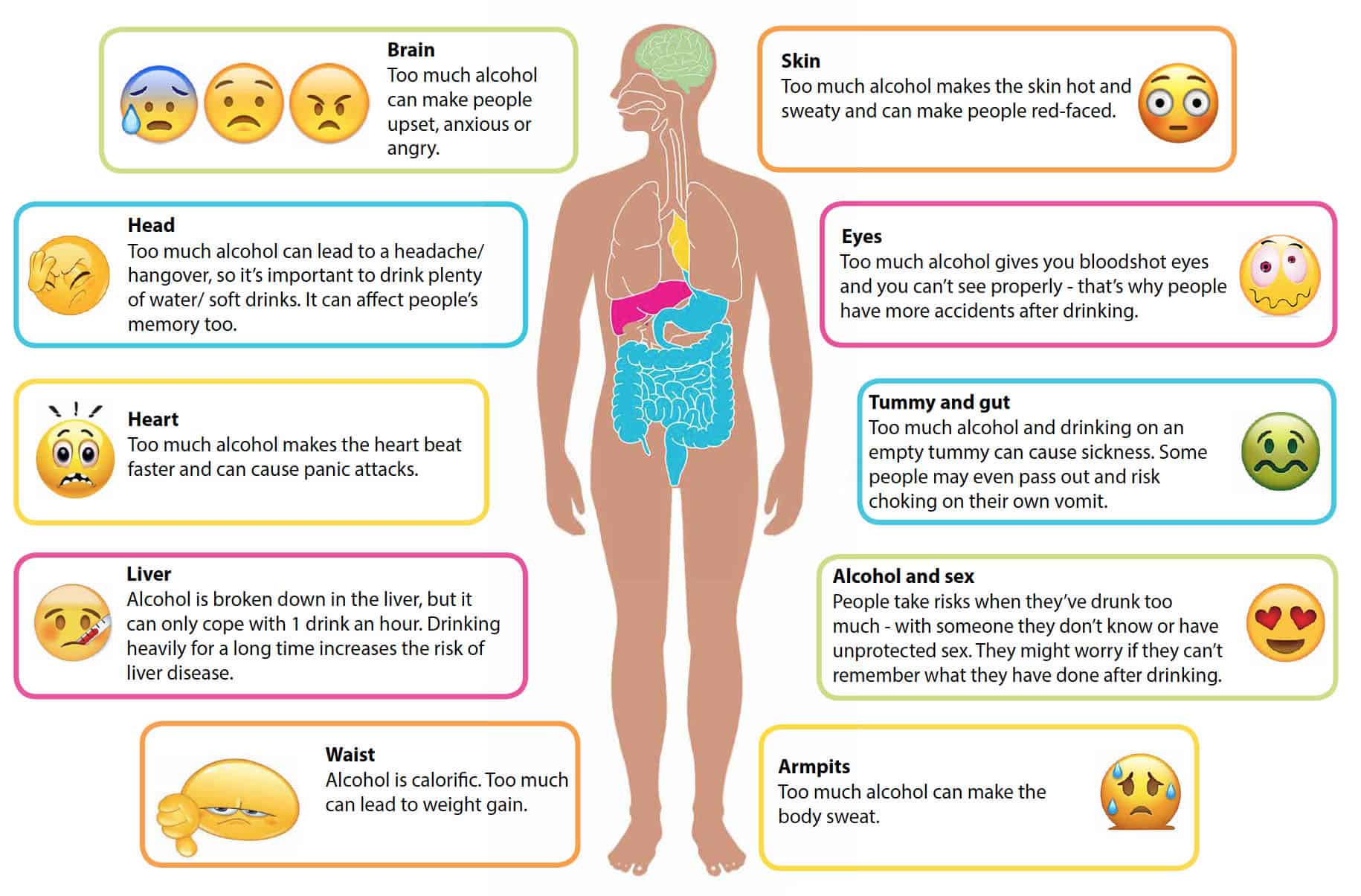 Alcohol And Its Effects Short And Long Terms Effects